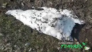 Гончаръ Земля танцует
