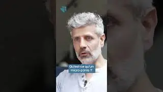 Qu'est-ce qu'un micro-pénis ?