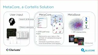 Investigating The Molecular Mechanisms Of Aristolochic Acid-induced Kidney Toxicity - Webinar