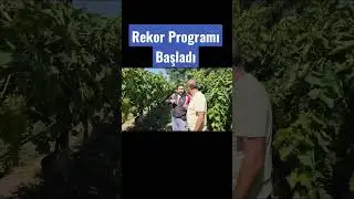 Üzüm Bağında  Gübreleme Programı ile Yüksek Verim