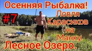 ОСЕННЯЯ РЫБАЛКА СЕРЕДИНА СЕНТЯБРЯ. ЛОВЛЯ КАРАСЯ НА МАНКУ ЛЕСНЫЕ ОЗЕРА. ПЕРЕМЕНА ПОГОДЫ.