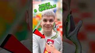 ЧИПСЫ СО ЗМЕЁЙ ПРАНК! ЗРЯ Я ЭТО СДЕЛАЛ! 