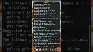 Golang 