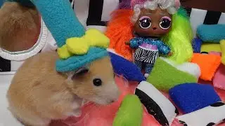 ХОМЯЧКИ в МАГАЗИНЕ ШАПОК** ЭТО ПРОСТО МиМиМи🤗