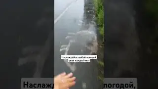 я и не знала как люблю дождь