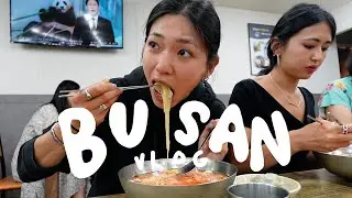 what we ate in 24 hours in Busan, Korea (so much seafood, street food, sightseeing) | food diaries