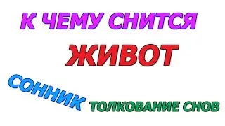 К чему снится живот сонник толкование