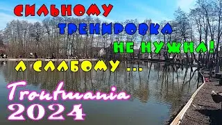 Troutmania 2024. Сильному тренировка не нужна, а слабому...