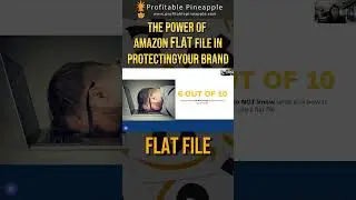 The Power of Amazon Flat File In Protecting Your Amazon Brand