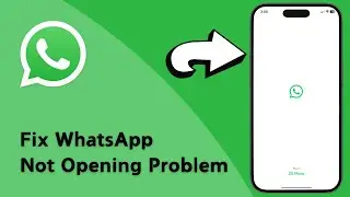 How to Fix WhatsApp Not Opening Problem On iPhone (2024)