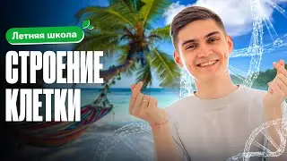 РАЗБИРАЕМ: строение клетки | Летняя школа 100Б | Марк Ламарк