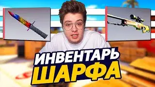 СКОЛЬКО СТОИТ ИНВЕНТАРЬ ШАРФА В CS:GO - ЛЕГЕНДАРНЫЙ ИНВЕНТАРЬ ШАРФА С РЕДКИМИ СКИНАМИ В КС ГО