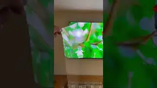 Samsung 55” Q95B 