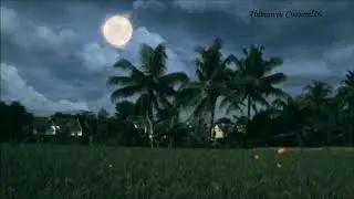 BULAN PURNAMA DITENGAH SAWAH, MUSIK TERAPI TIDUR