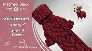 Комбинезон для собаки, часть 2, лапша, реглан