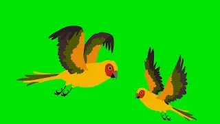 Bird Flying | Green Screen 3D Animation Video | VFX CREATOR STUDIO HD