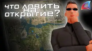 ЧТО ЛОВИТЬ на ОТКРЫТИЕ НОВОГО СЕРВЕРА ARIZONA LOVE?! НОВЫЙ СЕРВЕР от ARIZONA RP!
