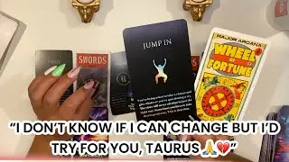 TAURUS ♉️ ANY MOVE YOU MAKE, YOU WIN 🏆 SHOOT YOUR SHOT, YOU CAN’T MISS 😉💕✨