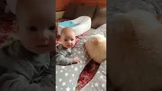 Матвей 6мес. увидел кота 😽 #baby #дом #дети #дача #семья #шортс #cutebaby #top #малыш #ребенок #boy