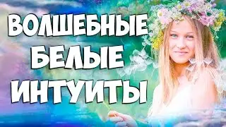 Соционика. Белые Интуиты. Волшебные образы.