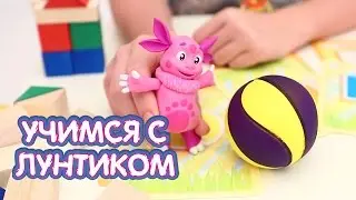 Лунтик - Учим геометрические фигуры. Геометрия для детей