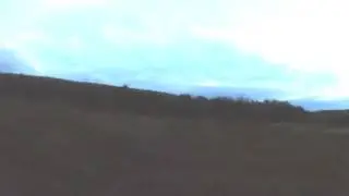 Охота на вальдшнепа