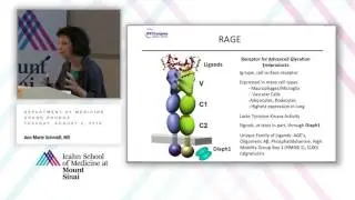 RAGE & DIAPH1 Signal Transduction & Mechanisms of Obesity and Diabetic Complications