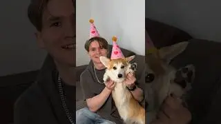 День моего пердения 🎉 