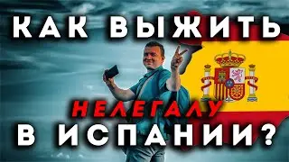 🤨❓Как выжить НЕЛЕГАЛУ в 🇪🇸 Испании в 2025 году❓ Переезд в Испанию без работы и документов