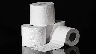 When Toilet Paper Panic Settles In