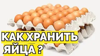 Как хранить и сколько хранятся яйца в домашних условиях ?