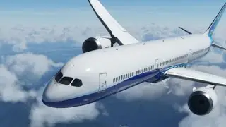 Microsoft flight simulator game play