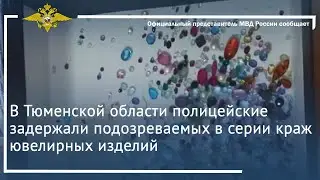 Ирина Волк: В Тюменской области полицейские задержали подозреваемых в серии краж ювелирных изделий