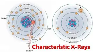 Characteristic X Rays (2D Animation Explainer)