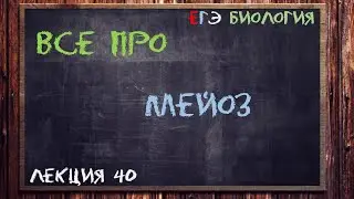 Л.40 | МЕЙОЗ | ОБЩАЯ БИОЛОГИЯ ЕГЭ