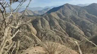 Кабк шикор Охота кеклики
