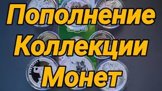 Пополнение Коллекции Монет (Ноябрь 2023 год)