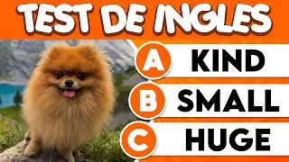 🟠 PON A PRUEBA TU INGLÉS CON ESTE TEST DE VOCABULARIO 📝| EXAMEN DE ADJETIVOS MÁS COMUNES EN INGLÉS 🤓