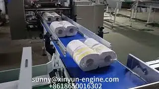 Máquina envasadora de 4 rollos pequeños de papel higiénico y 2 rollos de toallas de cocina en Europa