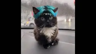 cfvlsjdgp9sf0o (Feofilov)-в стиле Nova gang