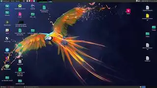 Install NPM Package Manager on Parrot Security Linux
