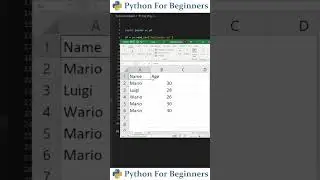 Multiple Filters On Pandas Data Frame | Python For Beginners