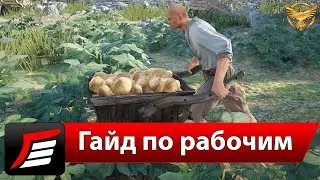 Black Desert – Рабочие / Рабы – Как построить свою сеть и зарабатывать | Гайды Black Desert