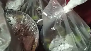 МОЯ КАМОРКА. ХРАНЕНИЕ ГОРТЕНЗИЙ. ОТВЕТ НА ВОПРОСЫ.