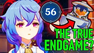 What To Do After AR55?