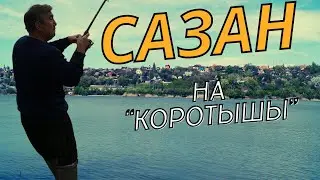 ДОНСКОЙ САЗАН НА ПЕНОПЛАСТ. БАТЯ В УДАРЕ!