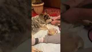 Люся поела и за себя,и за того парня🙈😍