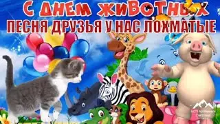Друзья у нас лохматые,  песня