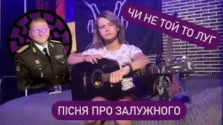 Пісня про Залужного на гітару. [