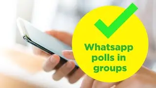 WhatsApp polls in groups 🔥❤️